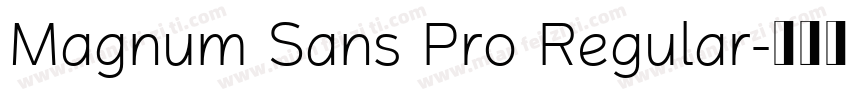 Magnum Sans Pro Regular字体转换